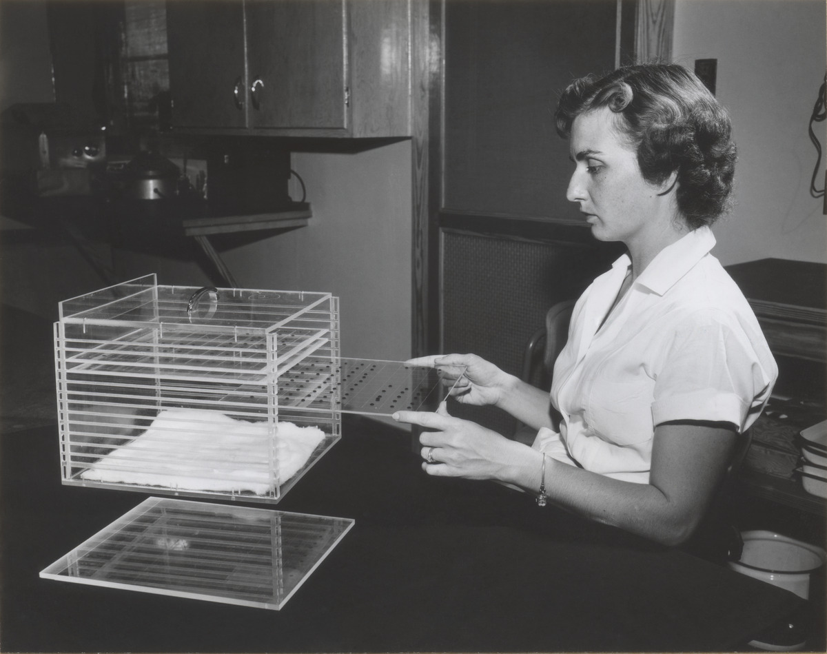 Estie Pepper holding a rack used to hold complement fixation test plates, 1957