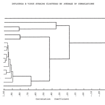 Phylogenetic Tree for Influenza B Viruses, 1969