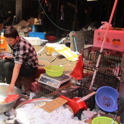 Poultry Market, China, 2013