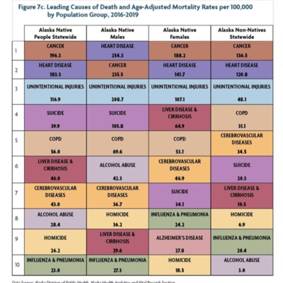 Leading Causes of Death and Age-Adjusted Mortality Rates per 100,000 by Population Group, 2016-2019